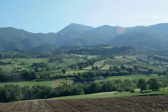 Country House Salomone - photo 4