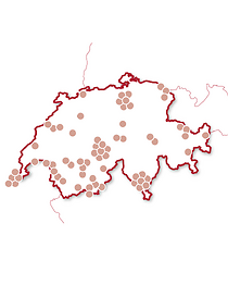 Soggiorno sfarzoso in Svizzera