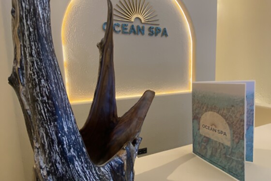 OCEAN SPA - photo 1
