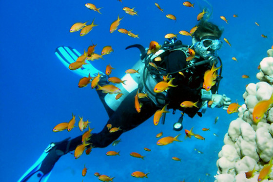 SOTACERO DIVING - photo 0