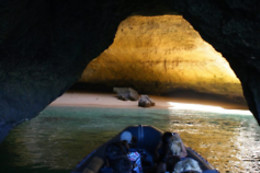 SEADOLPHINS
