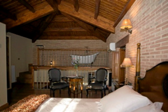 POSADA LOS CONDESTABLES HOTEL & SPA - photo 33