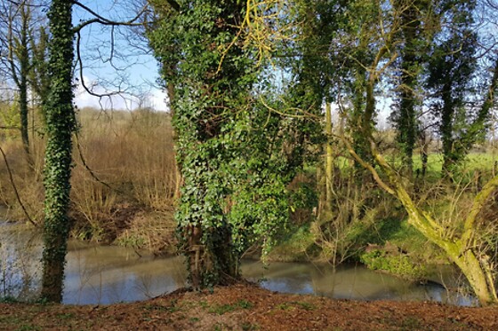 Domaine de Wail - photo 13