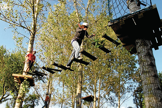 ANIGAMI AVENTURA - photo 11