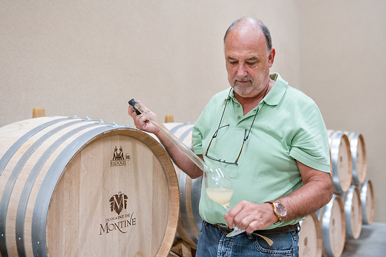 Domaine de Montine - photo 10