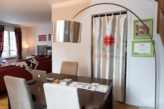 ODELIA Nature - photo 13