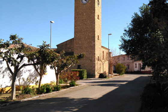 CASA RURAL LOS PINOS - photo 8