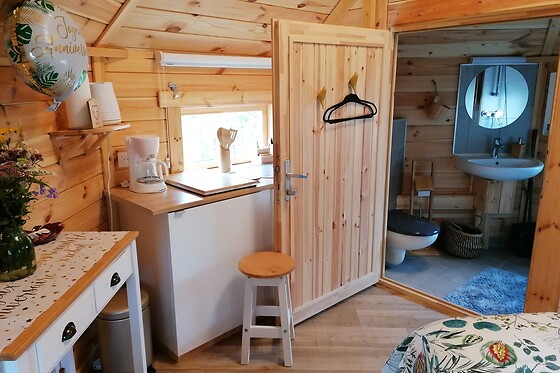 Au cœur du pin sylvestre - photo 2