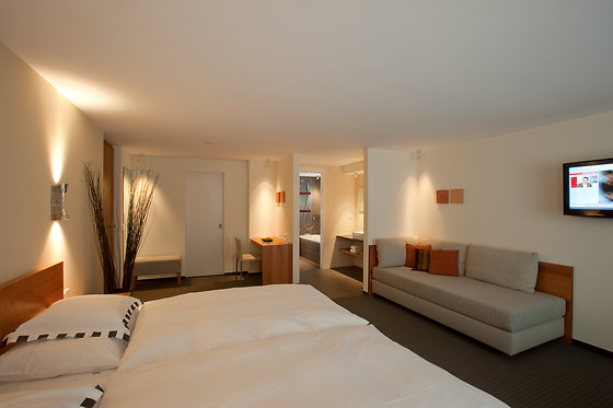 Hotel Allalin - photo 5