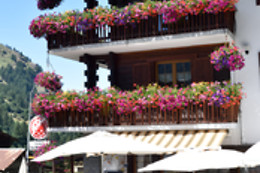 Hôtel Restaurant Les Mélèzes