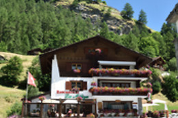 Hôtel Restaurant Les Mélèzes