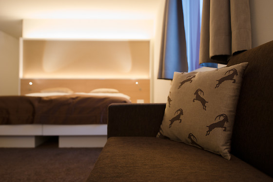 Hotel Waldegg-Engelberg**** - photo 3