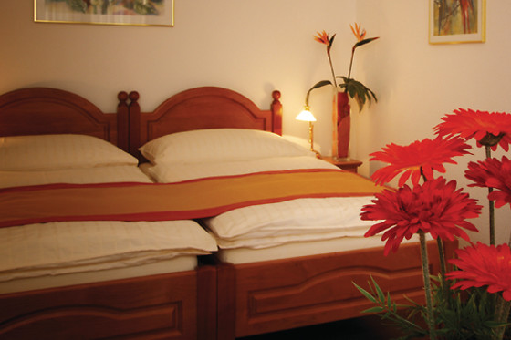 Hotel Alexandra - photo 8