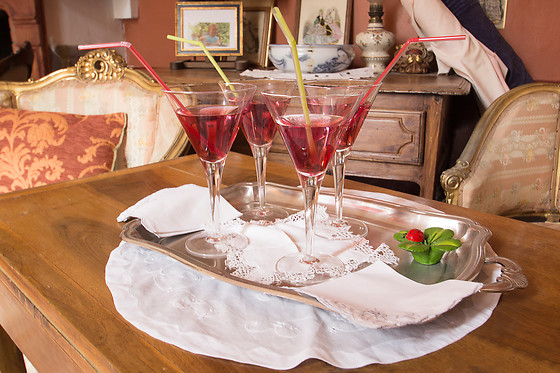 Château de Vallègue - photo 5