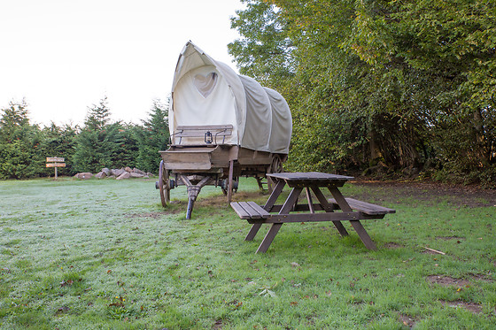 La Ferme Aventure - photo 5