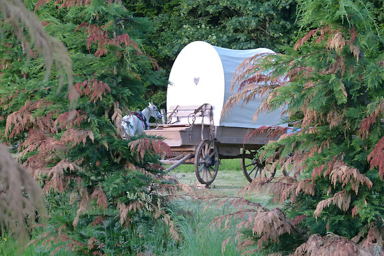 La Ferme Aventure - photo 3