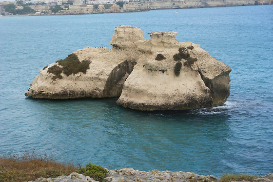 Masseria Le Chianche - photo 4