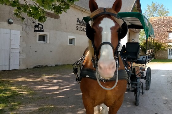 Le village de Cottages - photo 5