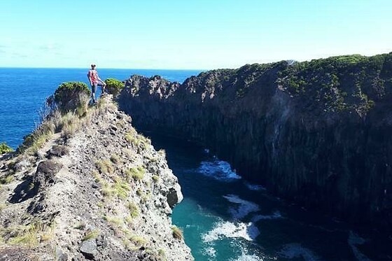 Azores Nature Tours - photo 20