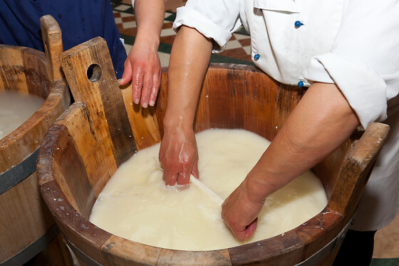 Ferme Le Bochet - photo 14