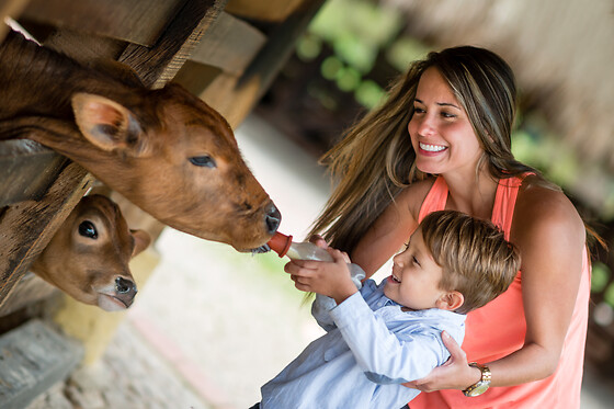Ferme Le Bochet - photo 21