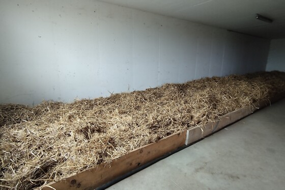 Ferme Le Bochet - photo 18