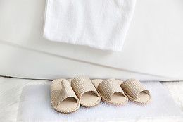 HOTEL ARVA SPA PARIS