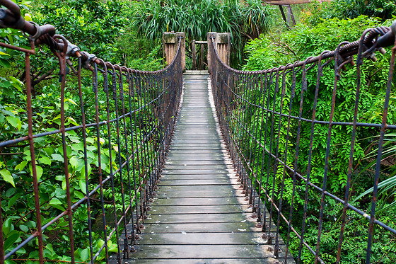 ANIGAMI AVENTURA - photo 10