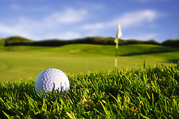Sake Golf