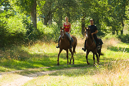 DOÑANA A CABALLO