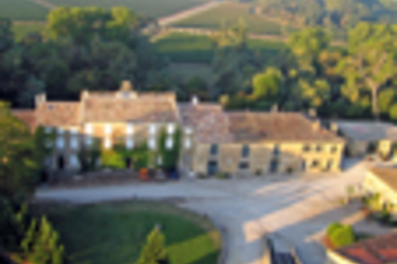 Château Auzias - photo 6