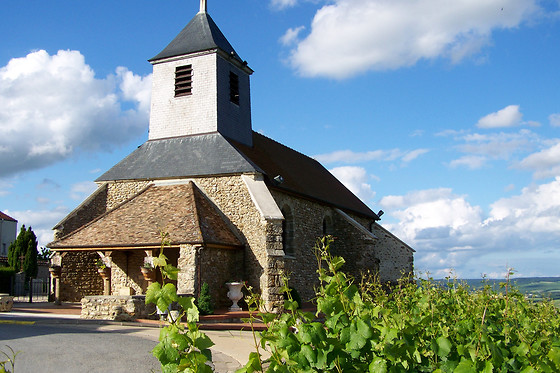 Sentier du Vigneron - photo 0