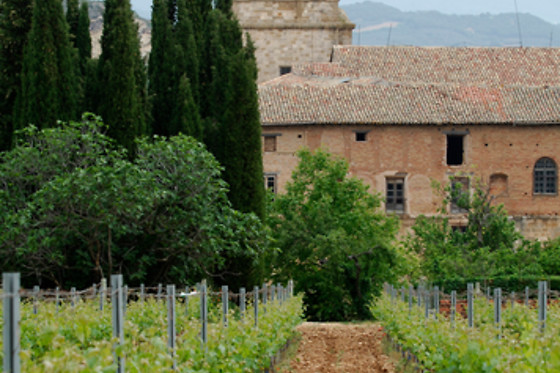 BODEGAS PAGO DE LARRAINZAR - photo 1