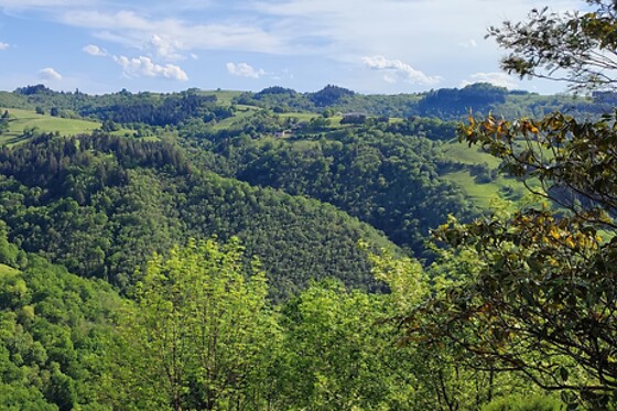 La Maison de Justine - photo 0