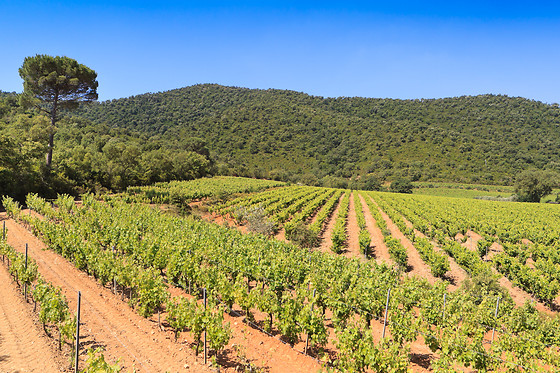 Domaine de la Portanière - photo 1