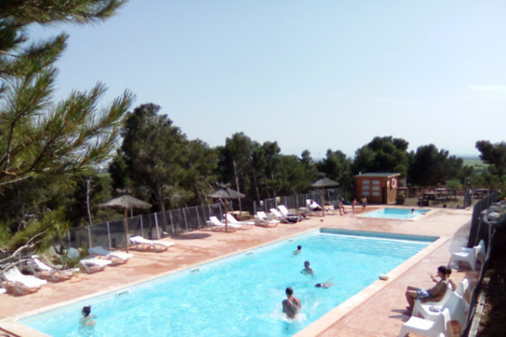 LE BOIS DE PINS - photo 4