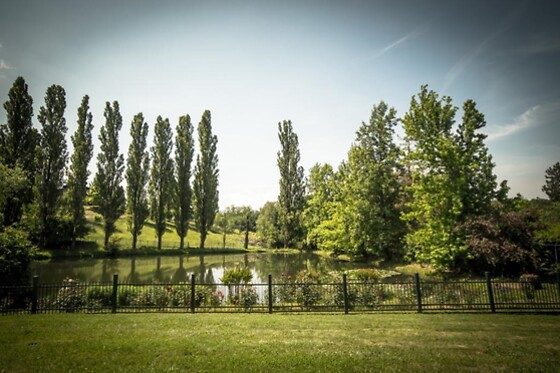 Villa Sorgiva - photo 4
