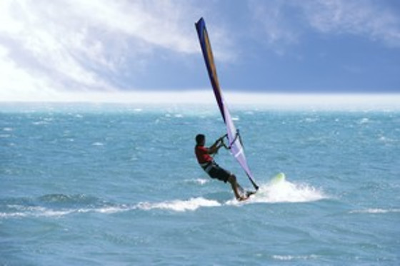 Wave School - photo 24