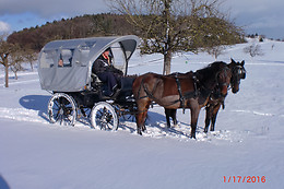 Pferdefahrt GmbH