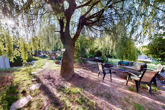 Le Souffle du Saule - photo 24