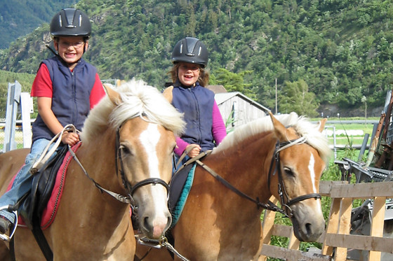 Zucht- und Reitstall Gentinetta - photo 19