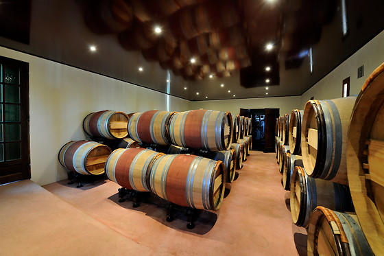 Vignobles Alain Chaumet - photo 0