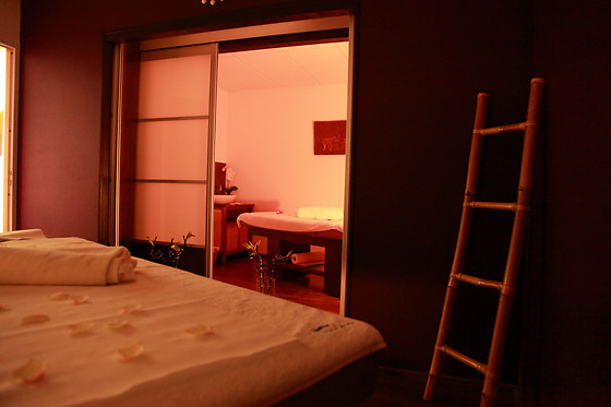 Thalaforme - photo 1