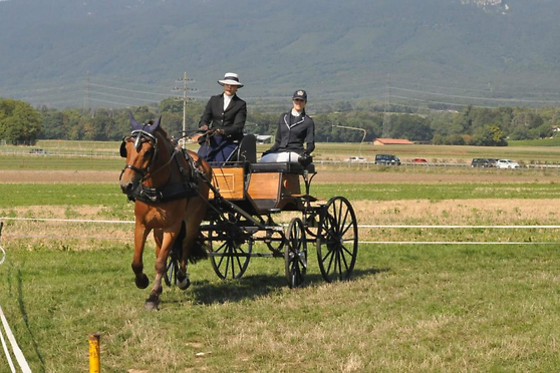 Ecurie Denogent  Club du Lys - photo 5