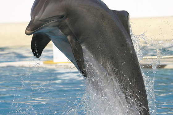 Marineland Hôtel - photo 4