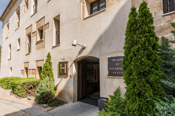 HOSPES PALACIO DE SAN ESTEBAN - photo 2