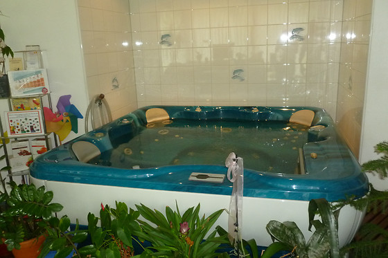 Delphenix B&B - Centro Talassoterapia Antismoking - photo 6