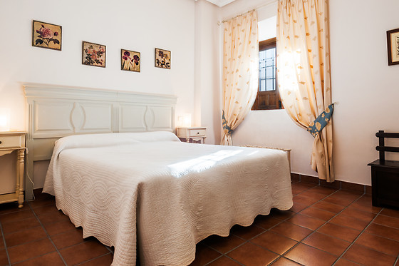 HOTEL PALACIO LAS MANILLAS - photo 8