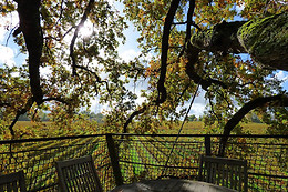 Les cabanes de la Romaningue