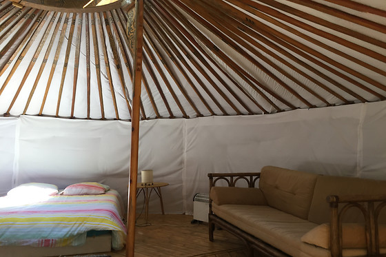 L'alternatif - photo 1